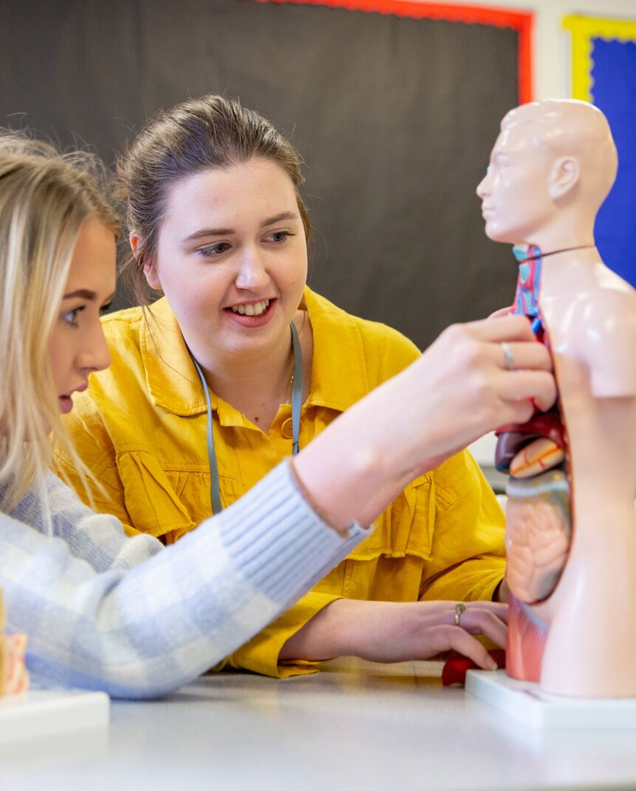 Students learning with anatomy figure