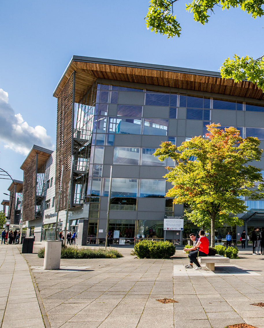Blaenau Gwent Learning Zone