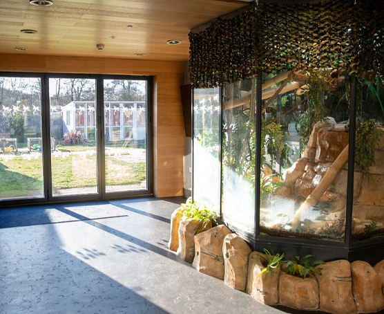 Small animal centre at Usk