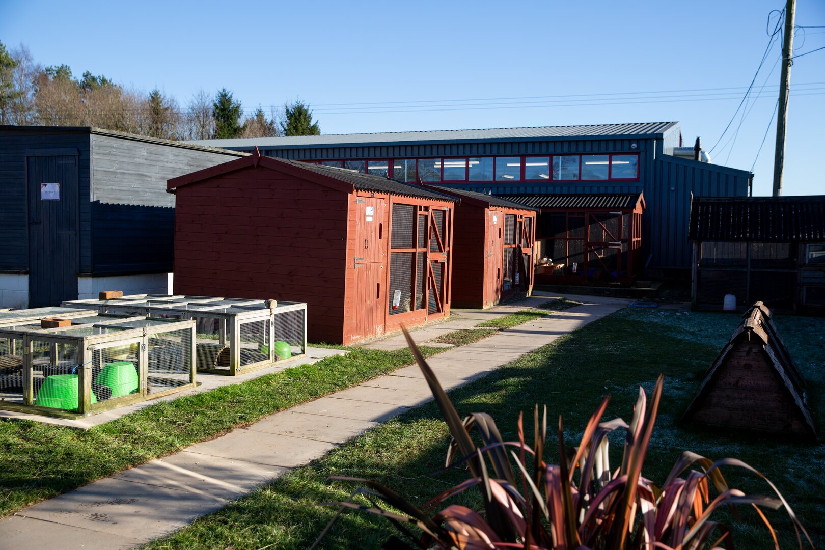 Outdoor view of the small animal centre at Usk
