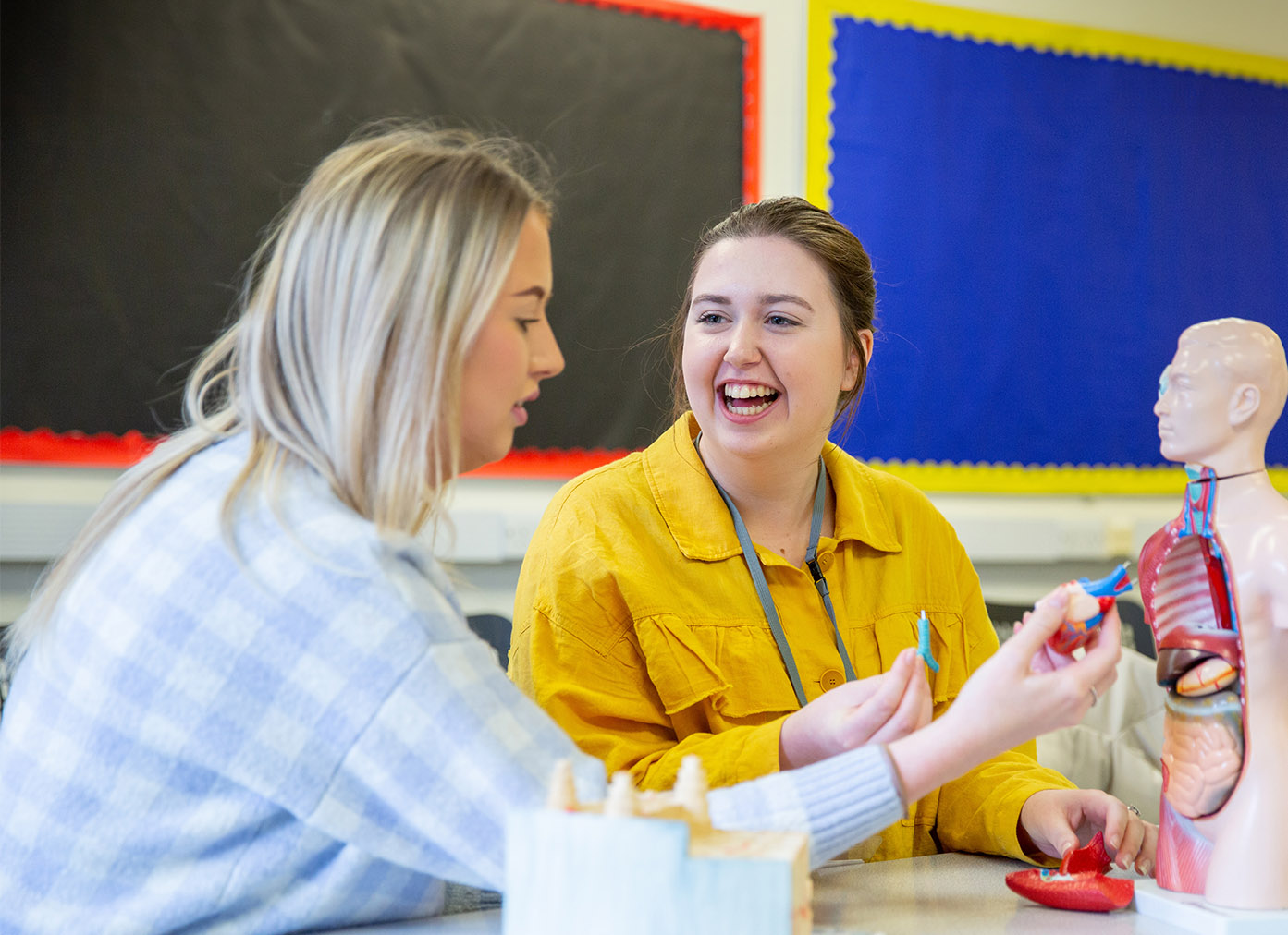 Healthcare students using an anatomy model