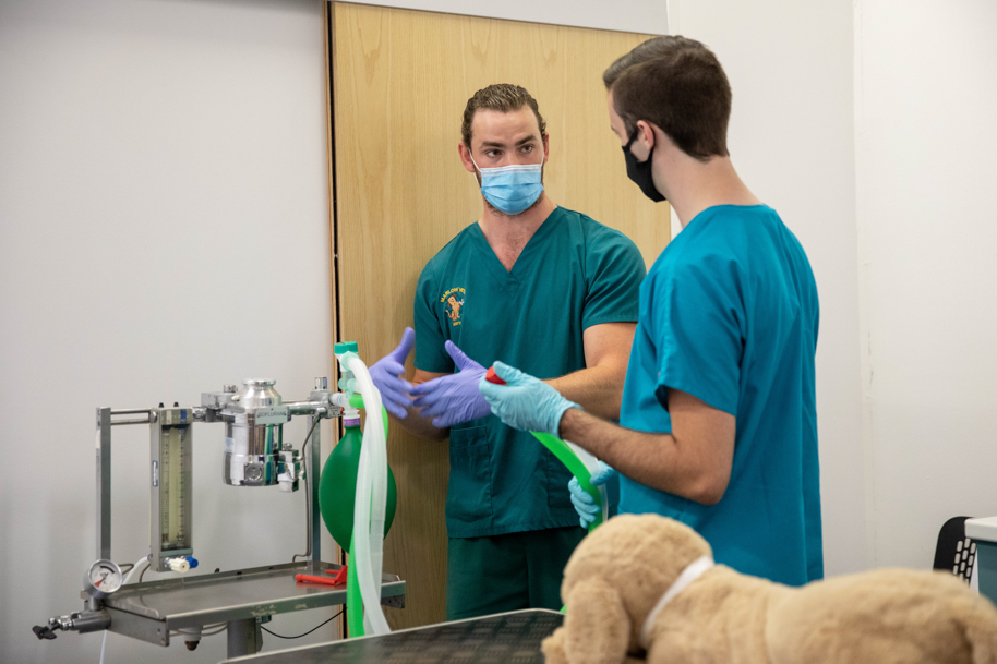 Vet nurse male student working in clinic
