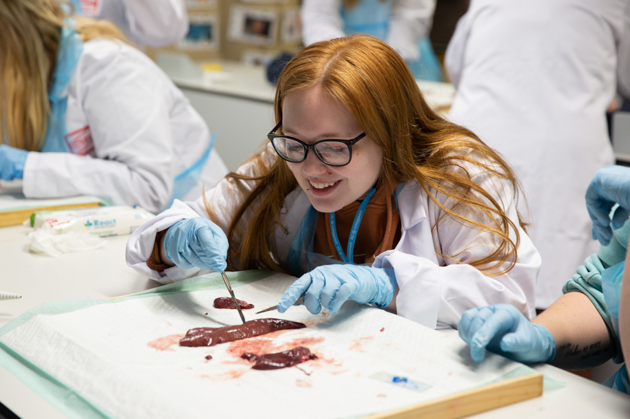 Health student in labs
