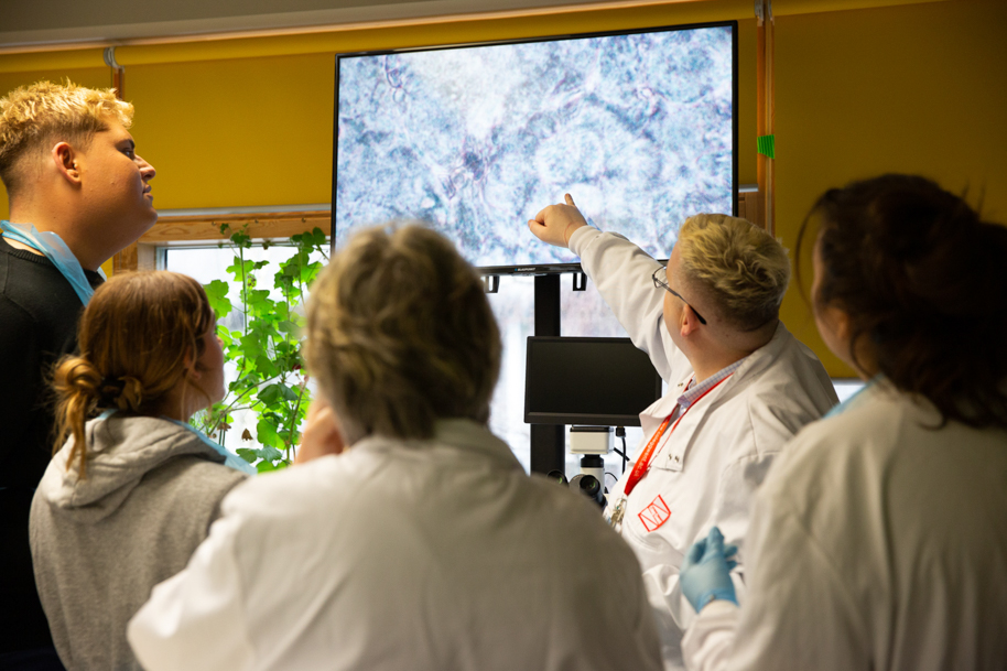 Health student looking at TV