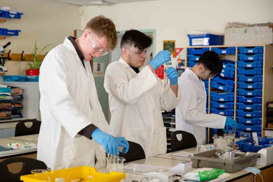 Working in science labs