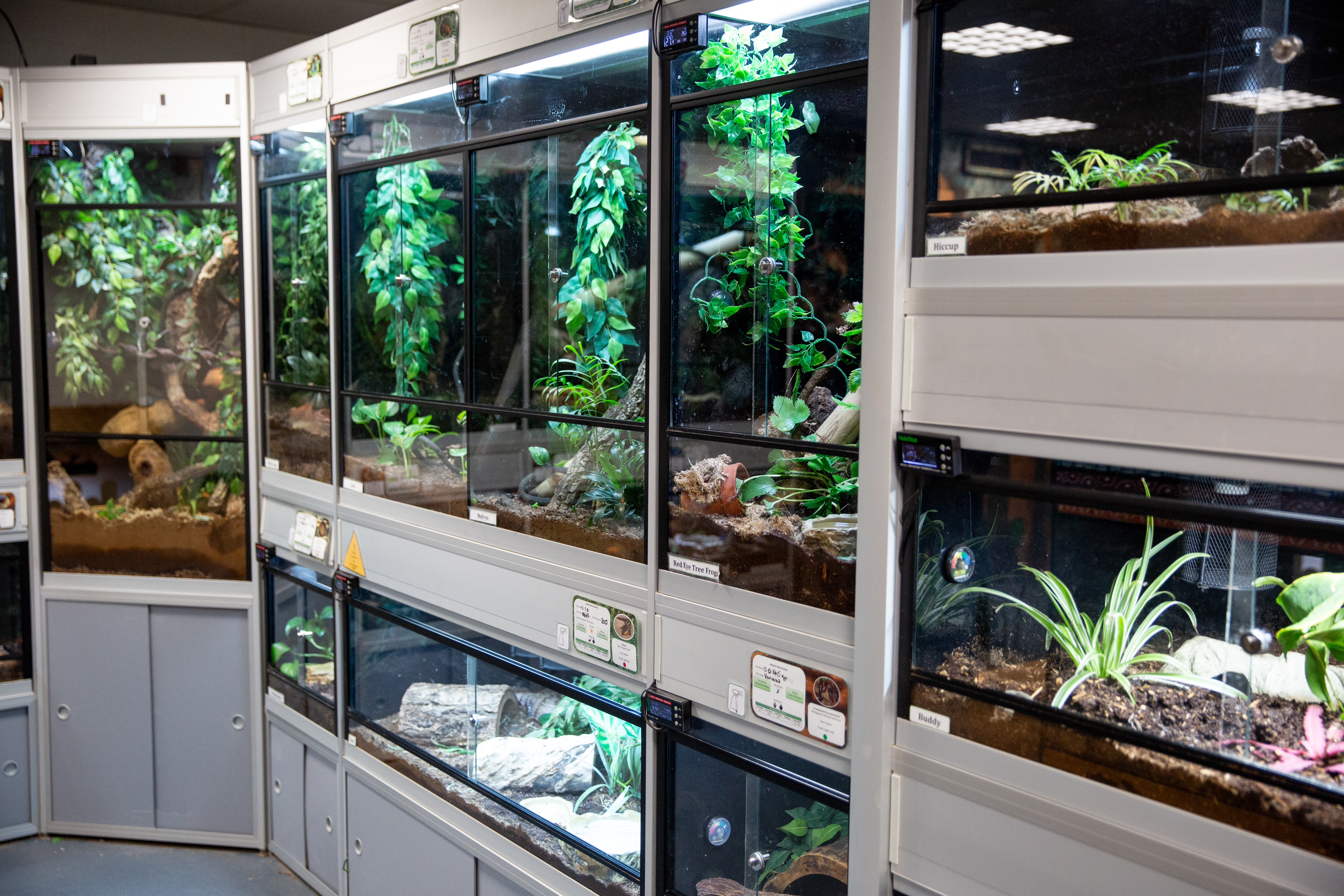 Reptile enclosures